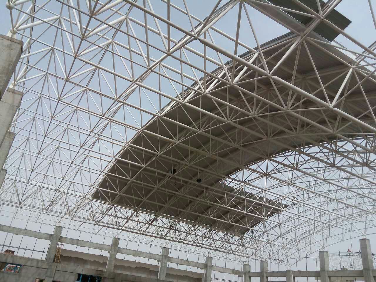 儋州一汽网架